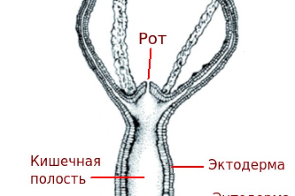 Как вывести деньги с kraken